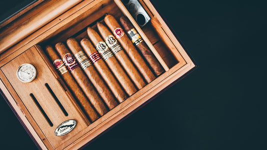 Foolproof Ways to Store Cigars for Long-Term Aging