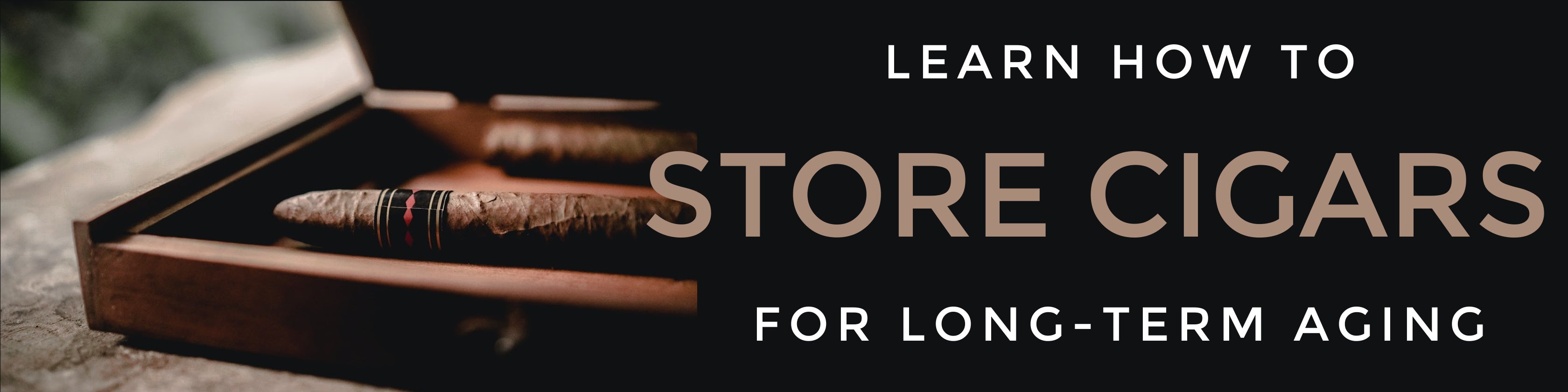 Cigar Cuts ♠ The cigar shop near me